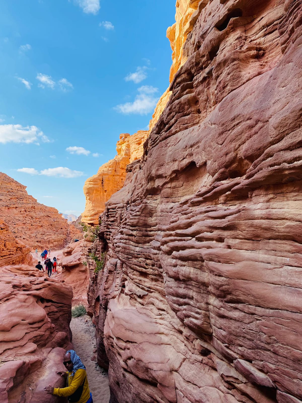 Canyon