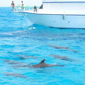excursionlines.com