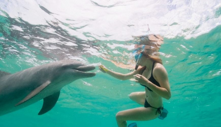 excursionlines.com