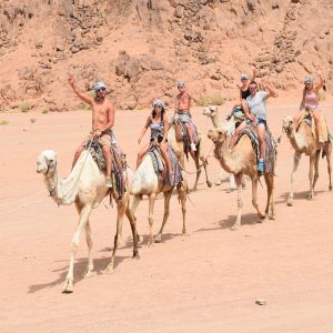 excursionlines.com