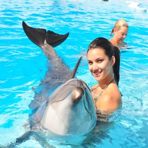 excursiolines.com