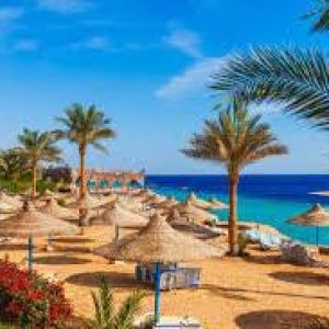 excursionlinons .com