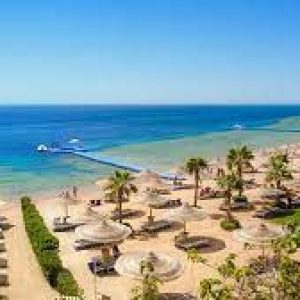 excursionliones.com