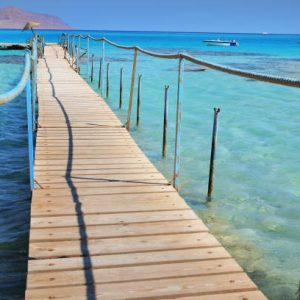 excursionlines.com