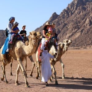 excursionlines.comexcursionlines.com