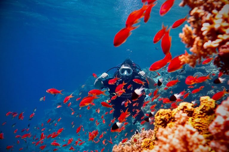Scuba diver with both hands raised surrounded by a swarm of red fish above a coral reef in the Red Sea