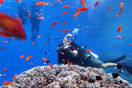 Scuba diver giving the OK sign above a coral reef in Ras Mohamed National Park, Red Sea