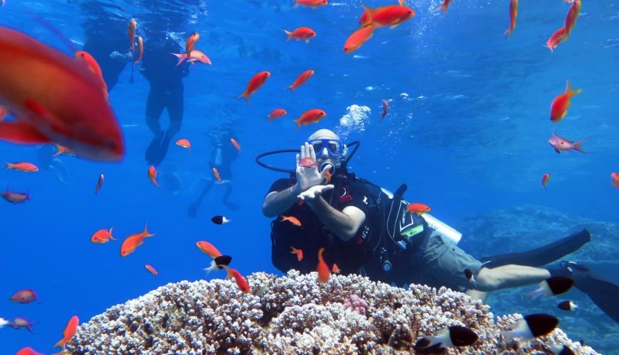 Scuba diver giving the OK sign above a coral reef in Ras Mohamed National Park, Red Sea