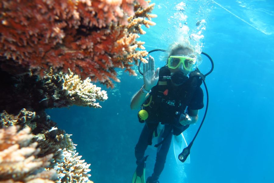 Diver waving beside an orange coral reef in Ras Mohammed National Park, Red Sea